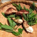 じどりや 穏座 - 