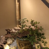 ろくそう -  ろくそう -