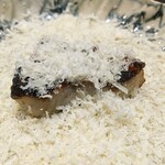 髙橋 謙太郎 - きんき