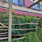 フォセッタ - 店舗