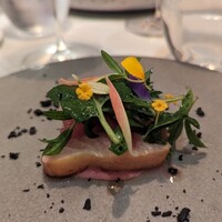 ARMONICO -  ARMONICO -