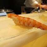 鮨 やまけん - クルマエビ