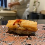 島津 - ウエケンスペシャル　インスタでウエケンさんのストーリーで素晴らしい個体なのチェック済み♡