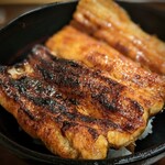 Seirin - 見事なうな丼♪キングオブ鰻料理♪♪焦げた醤油の香りにクラクラする〜。フワフワの身の厚さ！勢麟さんの鰻を頂くと、私は鰻好きなんだと錯覚する。来年までお預けかしら・・・