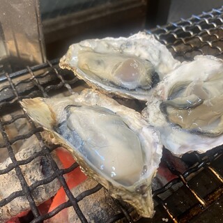 각 지역에서 엄선한 신선한 굴 통째로 맛본다◎