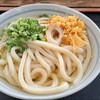 nekkoudon - かけうどん(大)