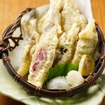 みょうが