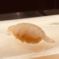 鮨 やまけん 銀座店 - 