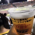 HANSHIN KOSHIEN STADIUM - 