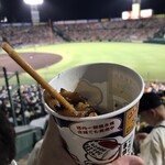 HANSHIN KOSHIEN STADIUM - 