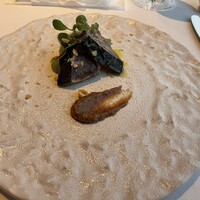 XEX TOKYO / Salvatore Cuomo Bros. - 