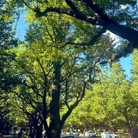 キハチ 青山本店 - 