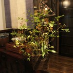 酒盃 - 玄関の生け花