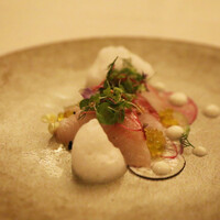 スプレンディード - シマアジのクルード　大麦　カラフル大根　タスマニア産粒マスタード