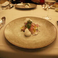 スプレンディード - シマアジのクルード　大麦　カラフル大根　タスマニア産粒マスタード