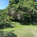 食堂かりか - 自然いっぱいの駐車場️