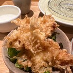 Tempura Kushi To Mabushi Meshi Hageten - 