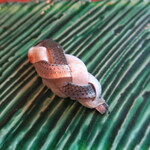 寿司 濱芝 - コハダ