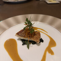 Bulls Tokyo - 