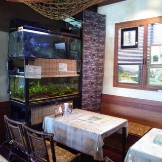 樹理絵水族館_2