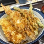 Tendon Tenya - 