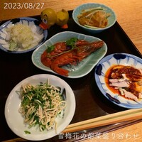雪梅花 菜根譚 - 