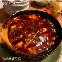 雪梅花 菜根譚 - 