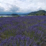 ムースヒルズバーガー - 河口湖①