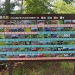 ムースヒルズバーガー - 河口湖②