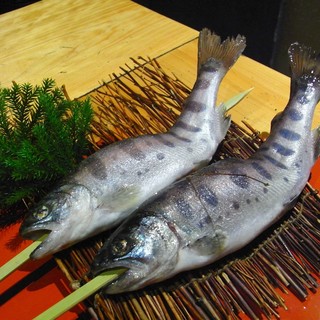 いろり割烹 稲穂_0