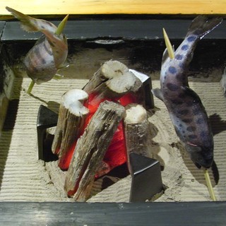 いろり割烹 稲穂_1