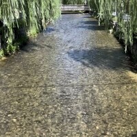 ひがしやま 司 - お店近くに流れる小川は清流でした♪