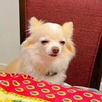 Karuizawa Hotel Soyokaze