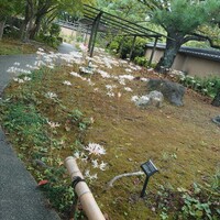 La Saison 筥崎宮迎賓館 - 