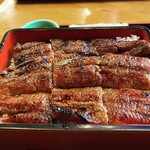 Sumibiyaki Unagi Higashiyama Bussan - 