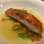 蒼 - 稲取 地金目鯛