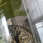 焼きもの家 慶 - 