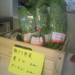 ごはん畑 - 朝採れ野菜販売