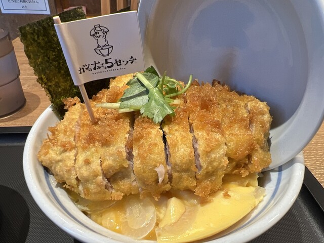 Closed]Katsu no Futosa wa 5 Centi - Takatsuki Shi/Katsu-don (Pork
