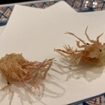 Tempura Tenshiba - 