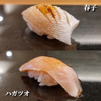 鮨と天草大王 天音 - 