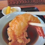 天ぷら　松島 - えび