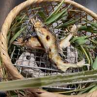 福吉兆 - 