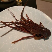 ツキと寿っぽん -  ツキと寿っぽん -