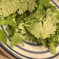 オーパス ワン - 