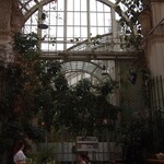 Palmenhaus - 