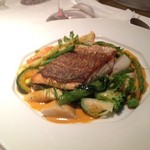 サリュー - 本日のお魚　山口産の鯛のロティ