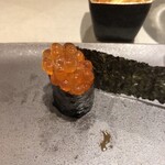 立食い鮨 鮨川 - いくら 北海道 様似