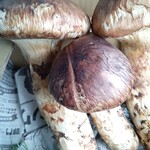 松茸山 鈴子山荘 - 