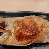のどぐろの中俣 新橋 - 